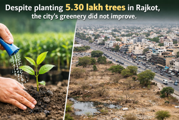 Despite Planting 5.30 Lakh Trees in Rajkot, the City’s Greenery Did Not Improve