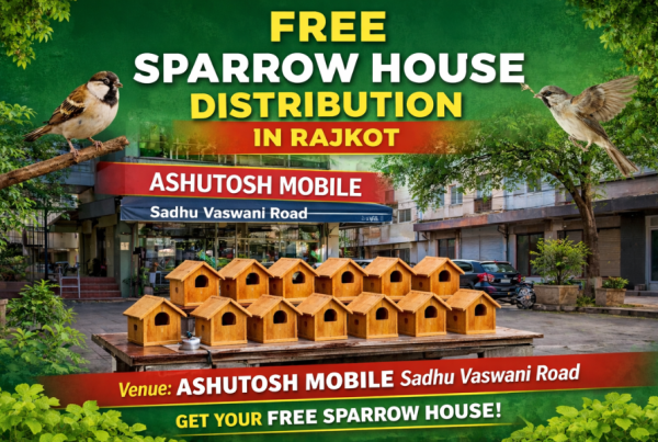 Free Chakli Ghar Available in Rajkot at Ashutosh Mobile Sadhu Vaswani Road - Sparrow House Distribution for Bird Lovers