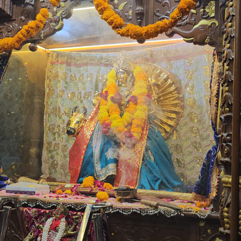 _Maa Umiya Rath Arrives in Rajkot; Devotees Welcome with Garba and Talvar Raas