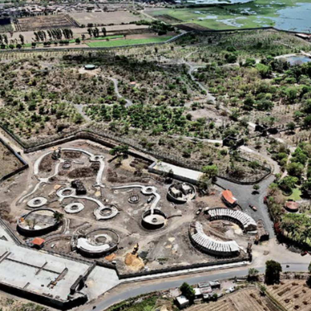 Gujarat's first urban Lion Safari Park in Rajkot