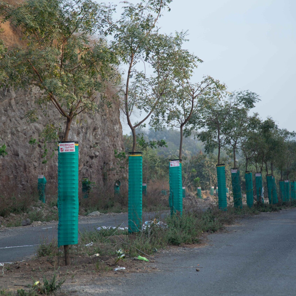 Sadbhavna Trust Rajkot