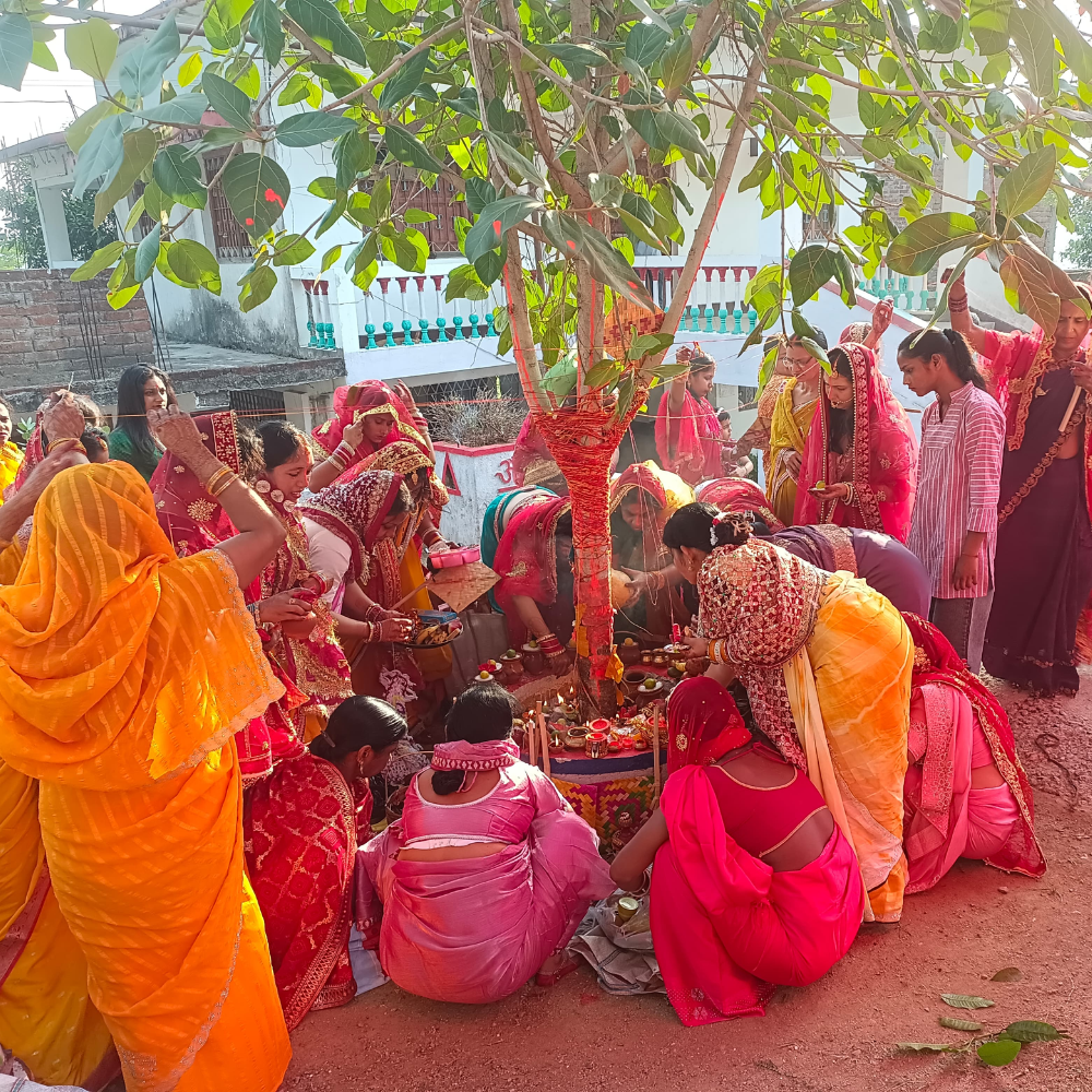 Married Women Observe Vat Savitri Vrat in Rajkot, Offer Prayers for Their Husbands' Long Life